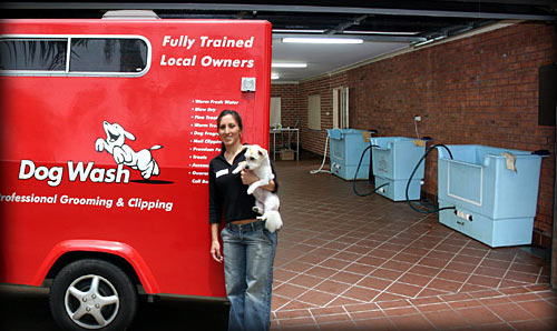 National and International experience in Dog Grooming and Animal Care! National and International experience in Dog Grooming and Animal Care!